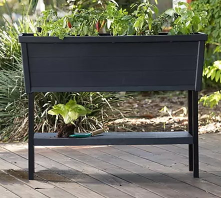 Keter XL Urban Bloomer Resin Elevated Planter Raised Garden Bed