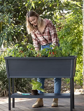 Keter XL Urban Bloomer Resin Elevated Planter Raised Garden Bed